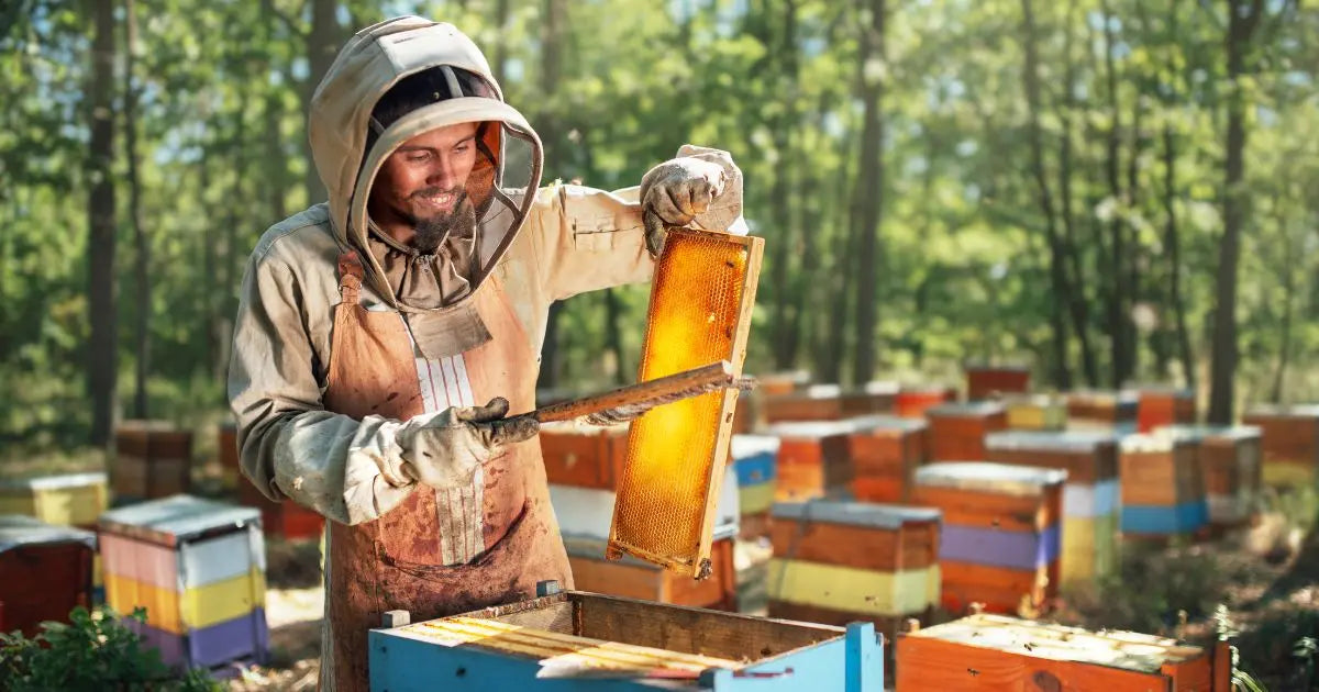 Protecting Beekeepers with Comfort and Safety full body beekeeping suit