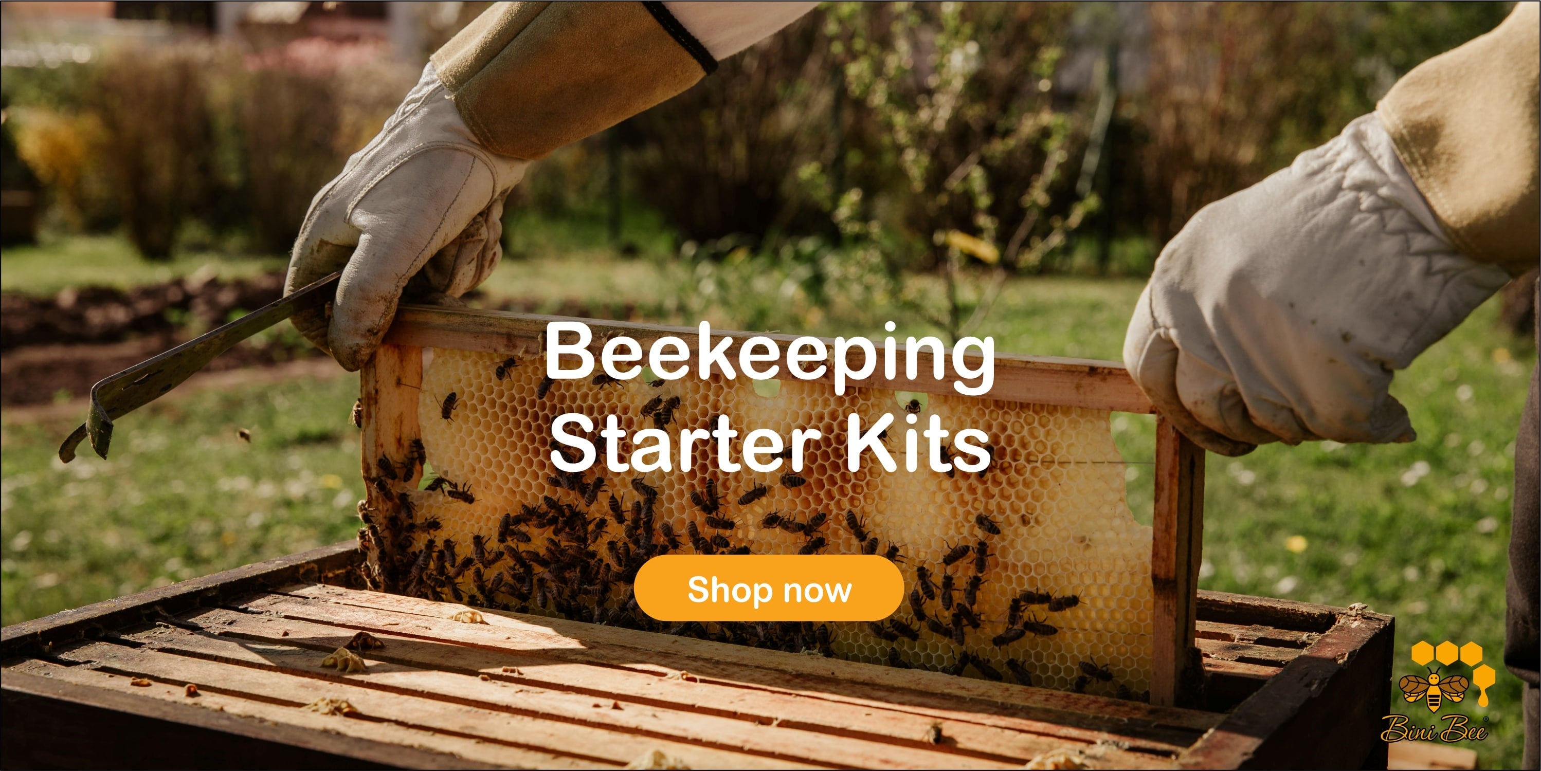 Bini bee beekeeping starter kits 
